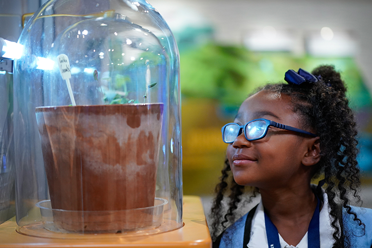 Education Outreach Center Transpiration of Plants Education Outreach Center Transpiration of Plants