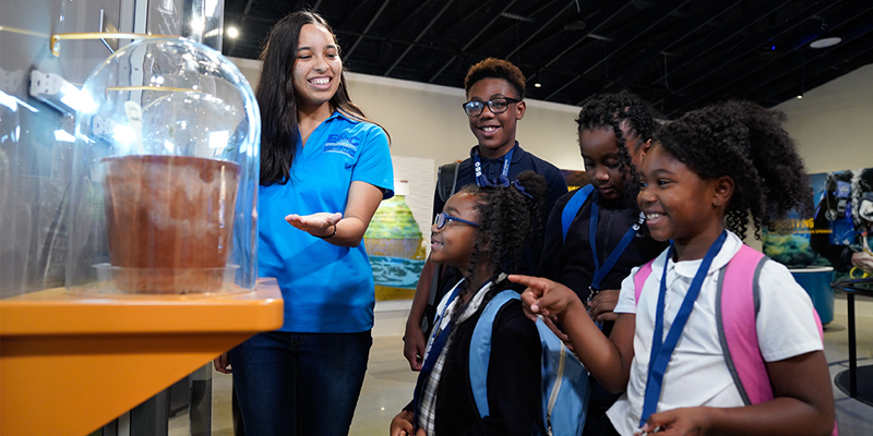 A New Generation of Rock Stars – The EAA Celebrates National Intern Day