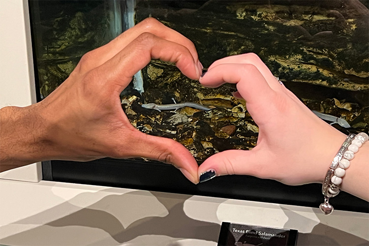 A Love so Rare, It’s Endangered