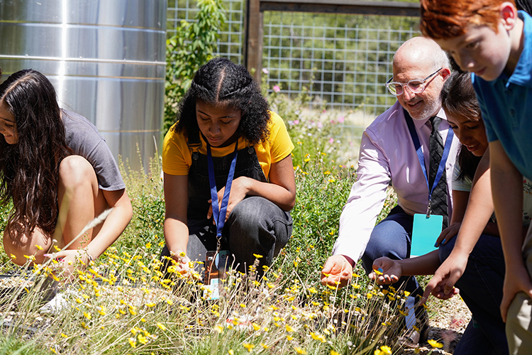 Celebrate National Native Plant Month: Embracing Texas’ Natural Beauty