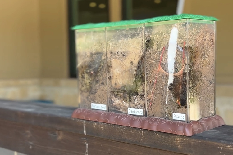 Get the Scoop on How Composting Helps Our Environment