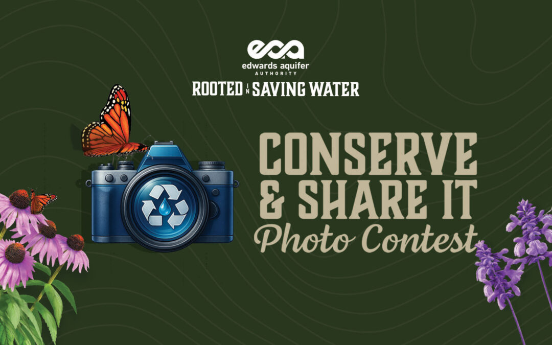 Celebrating 29 Years of Stewardship: The Edwards Aquifer Authority’s Enduring Legacy