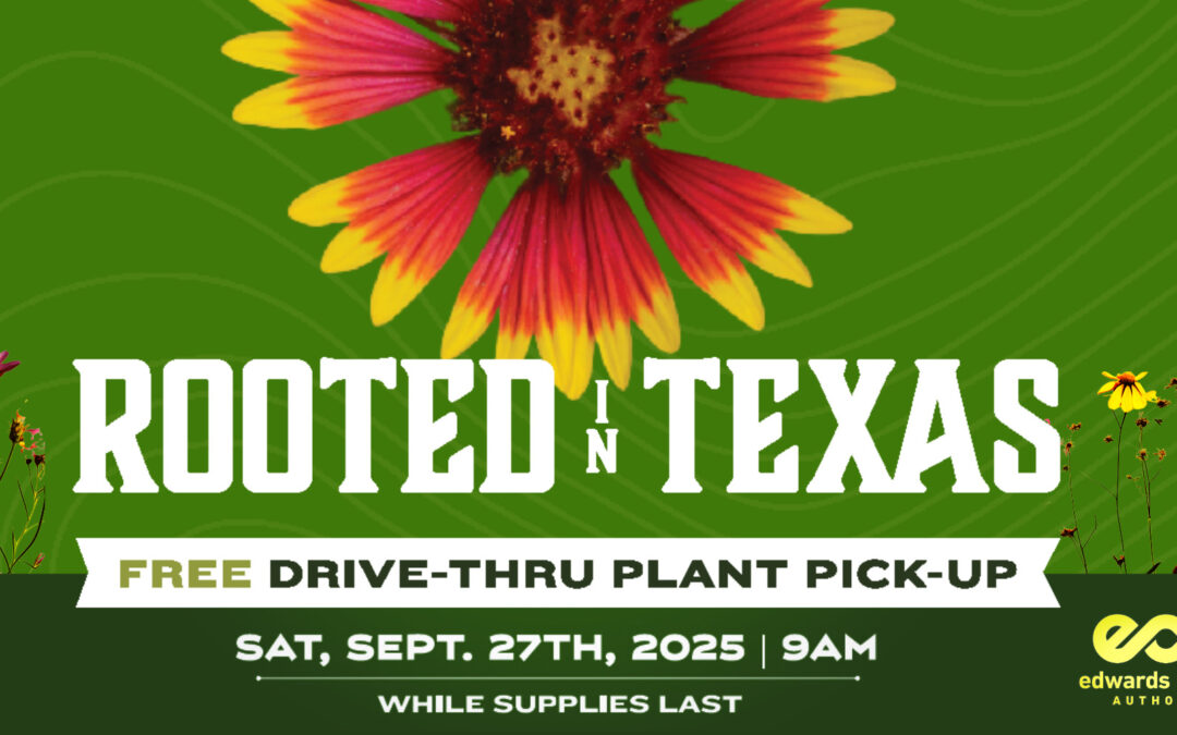 Rooted in Texas: A FREE Drive -Thru Plant Pick-Up Event hosted by the EAA