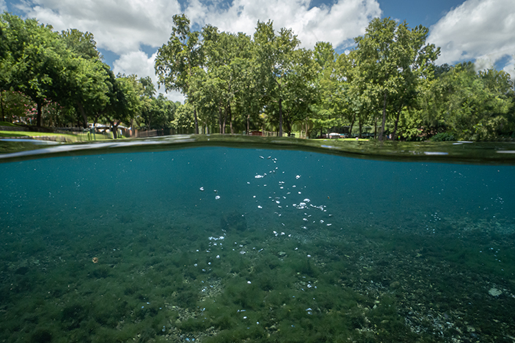 Comal Springs Bubbles-New Braunfels