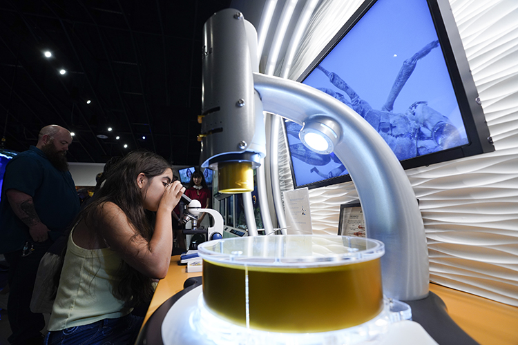 EAA Education Outreach Center 2025 Female guest viewing a specimen sample using the Micro Eye