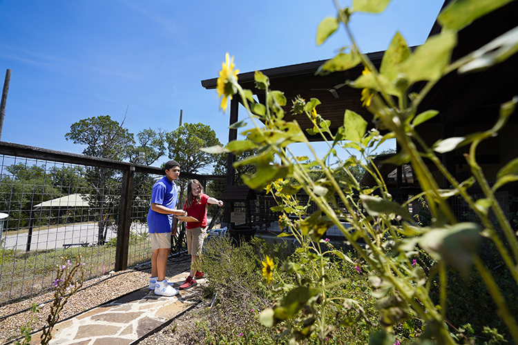 Native Plant Demonstration Garden