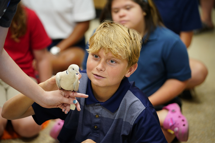 EAA Education Outreach Center Water and Wildlife