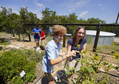 Native Plant Demonstration Garden