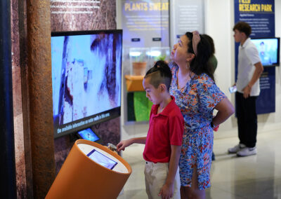 Good Well vs Bad Well