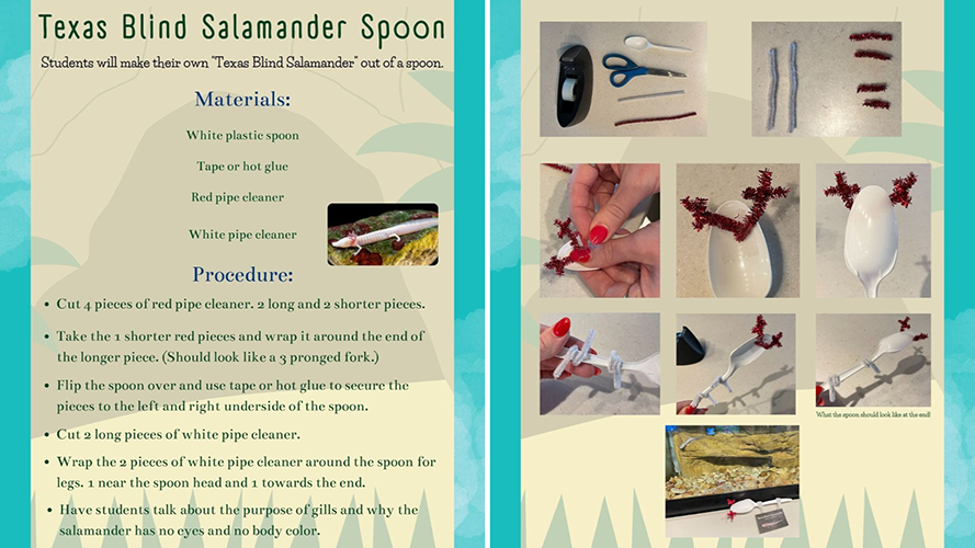 TX Blind Salamander Spoon Activity