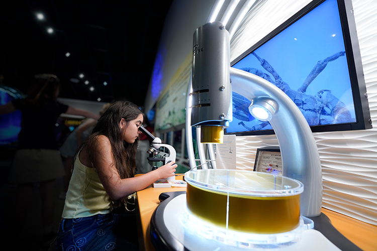 The EOC Celebrates International Day of Women and Girls in Science