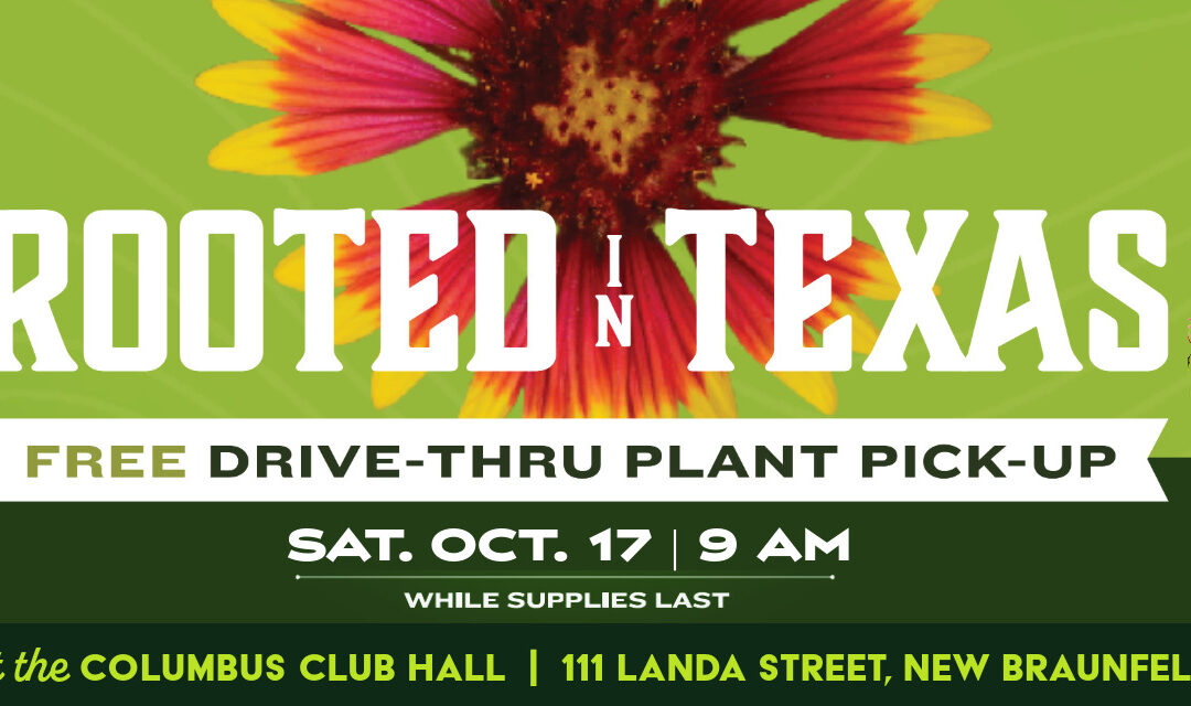 Rooted in Texas: A FREE Drive -Thru Plant Pick-Up Event hosted by the EAA