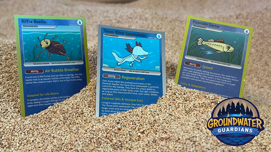 EAA EOC Groundwater Guardians Cards